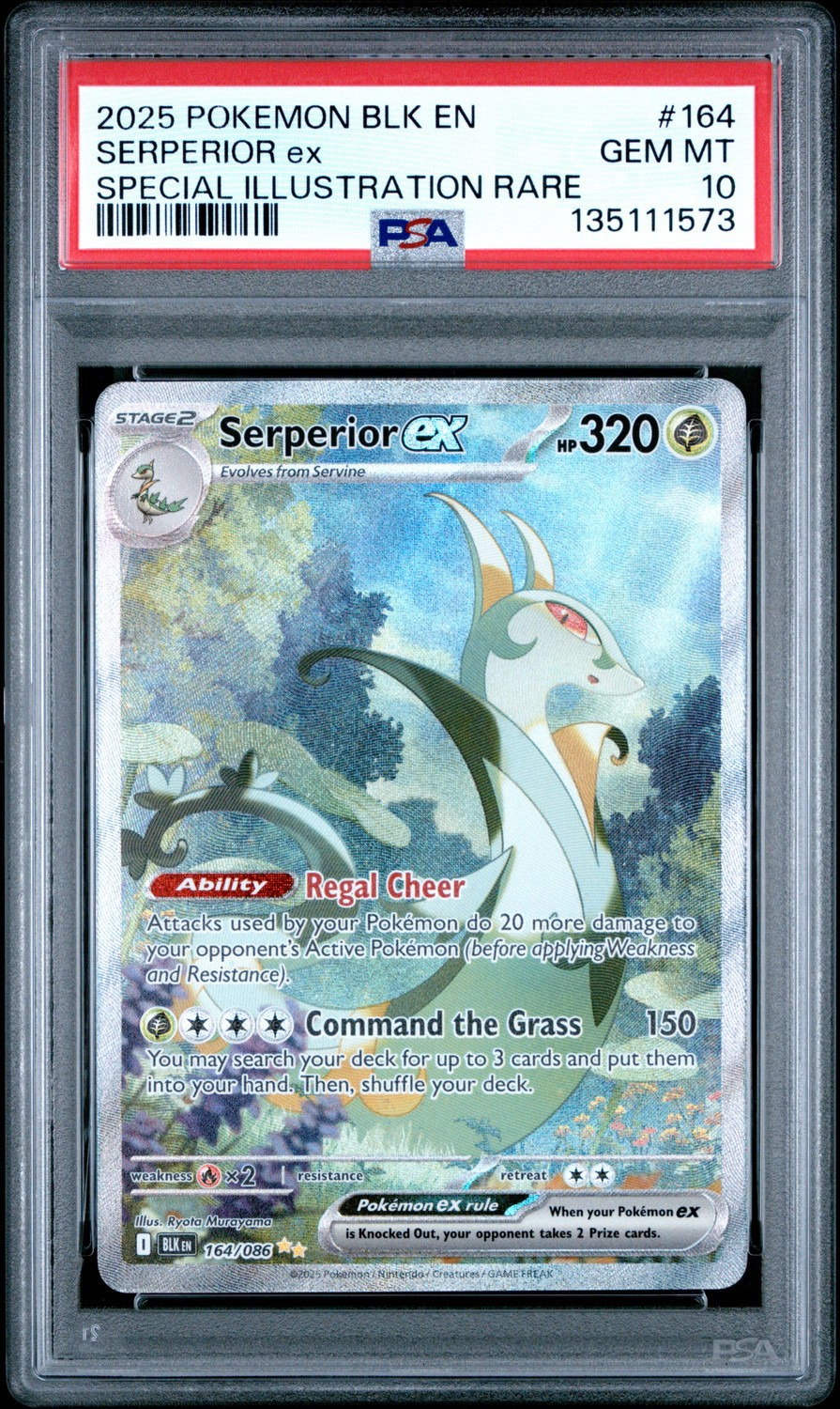 SERPERIOR ex
