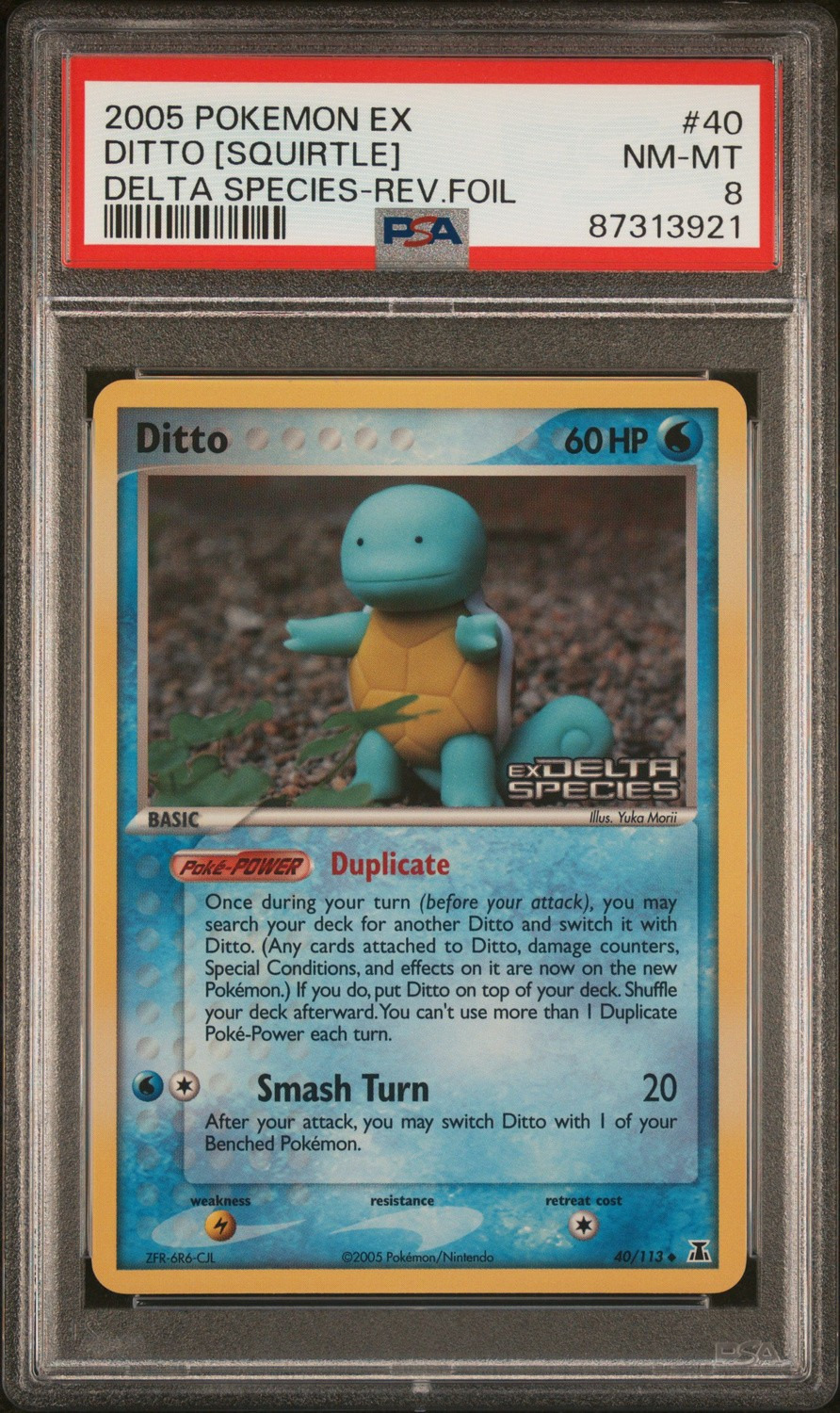 Ditto [Squirtle]