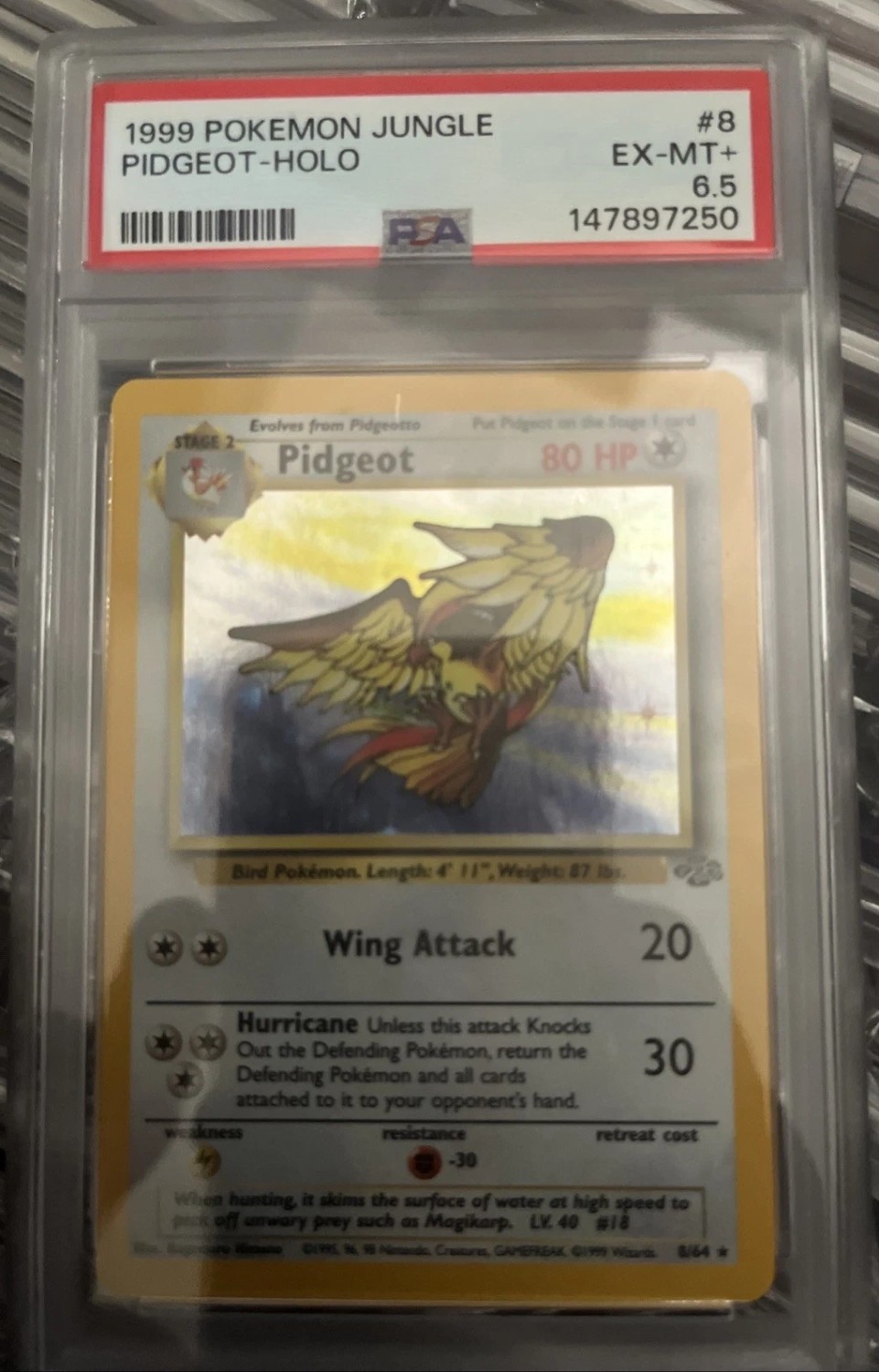 PIDGEOT