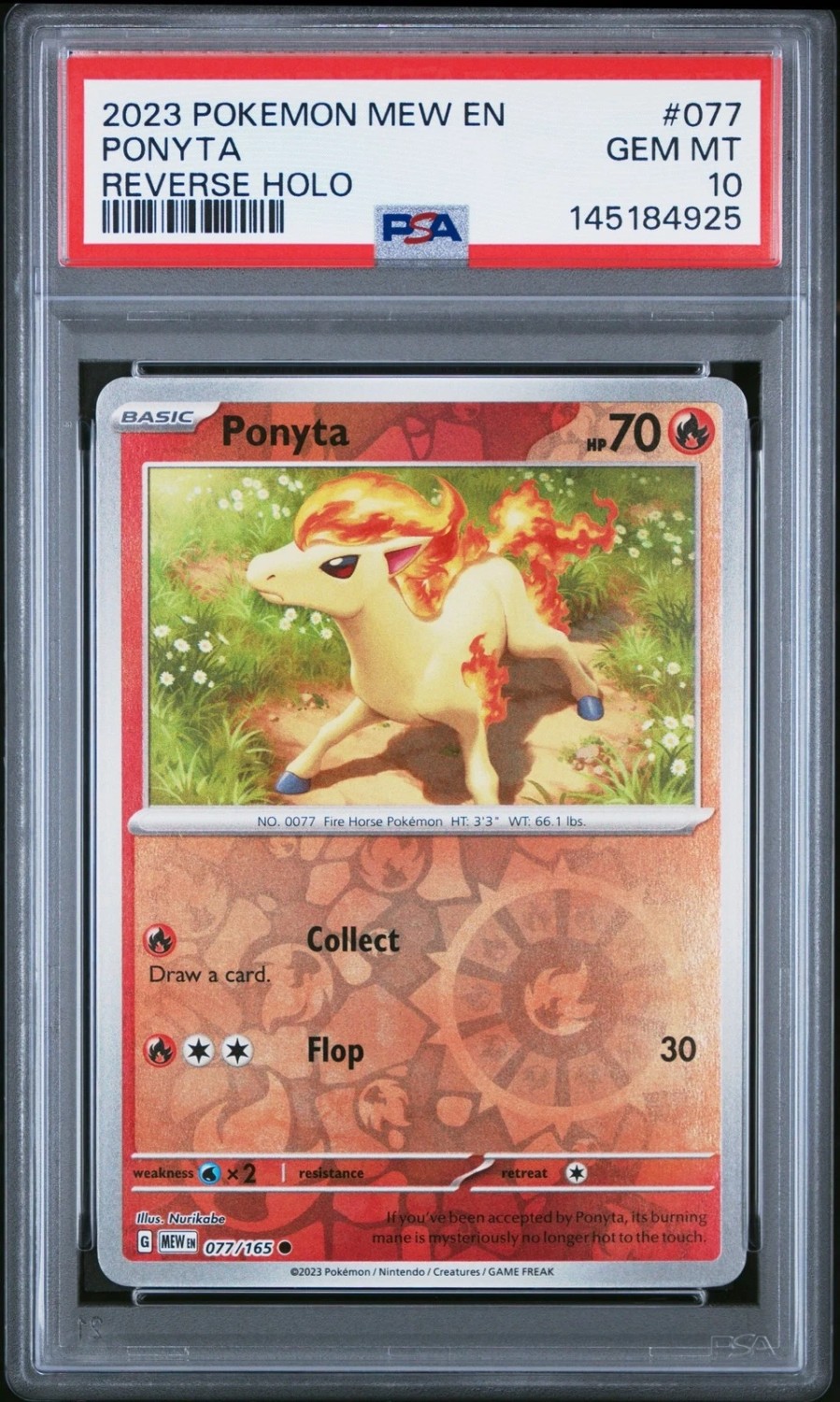 Ponyta