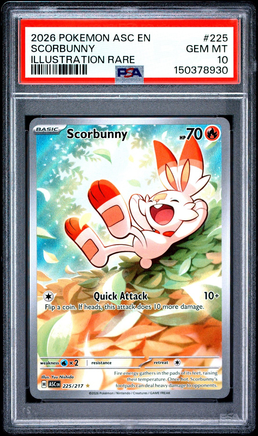 Scorbunny