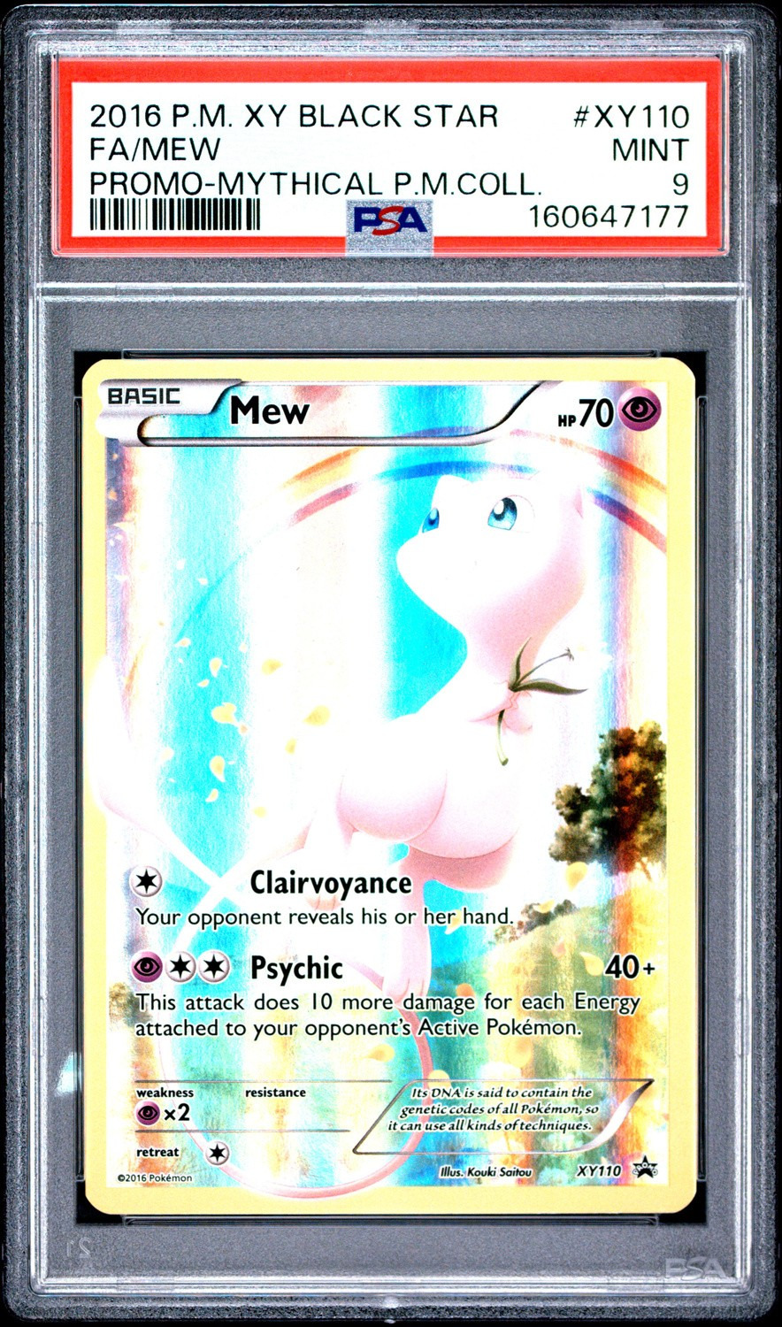 FA/MEW