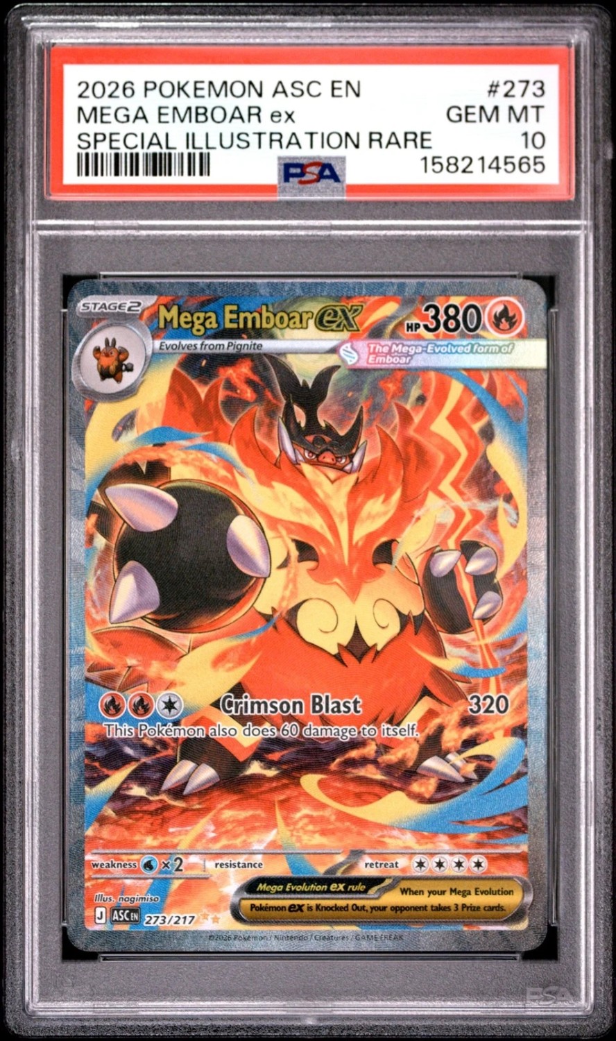 MEGA EMBOAR ex