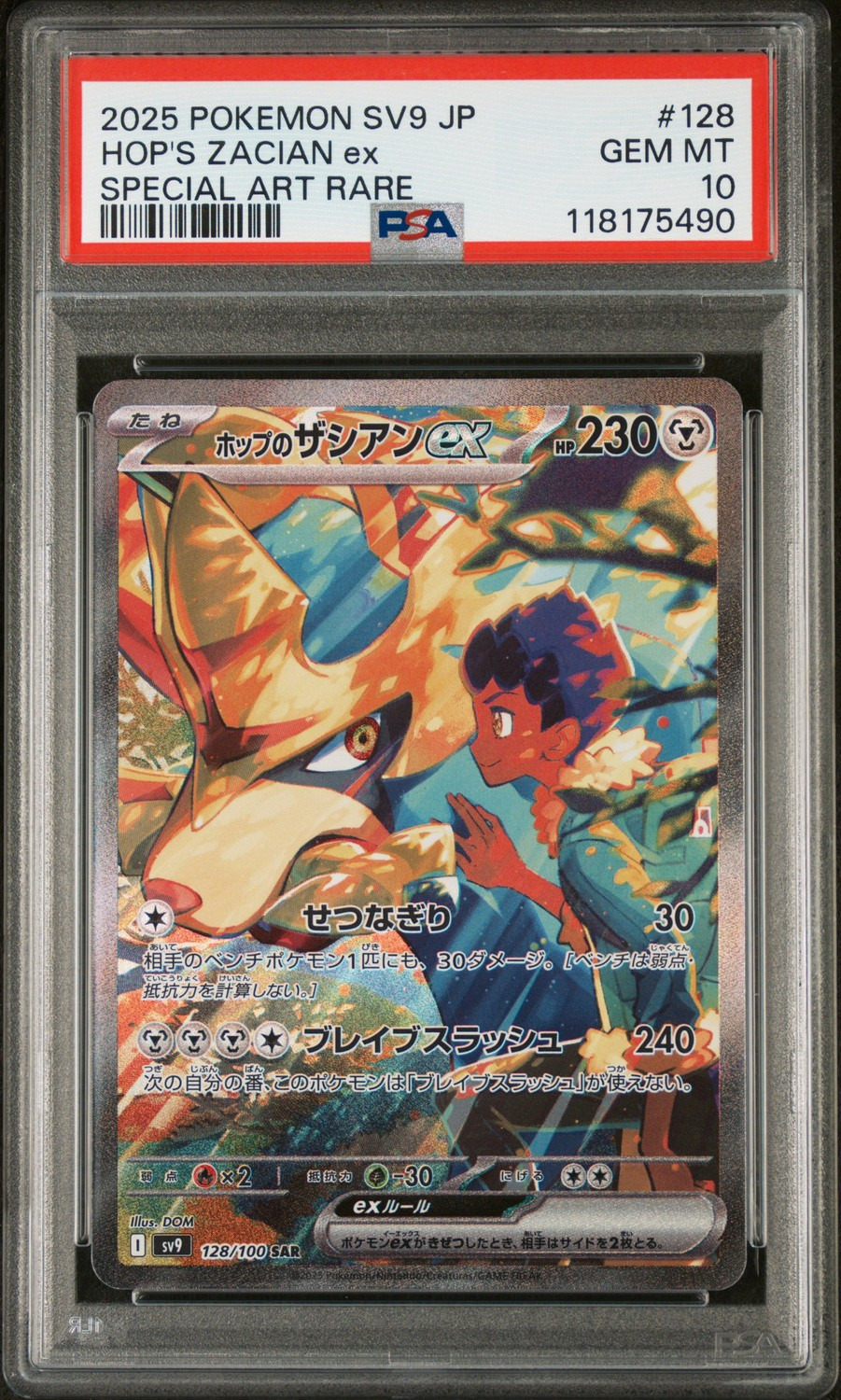 Hop'S Zacian Ex