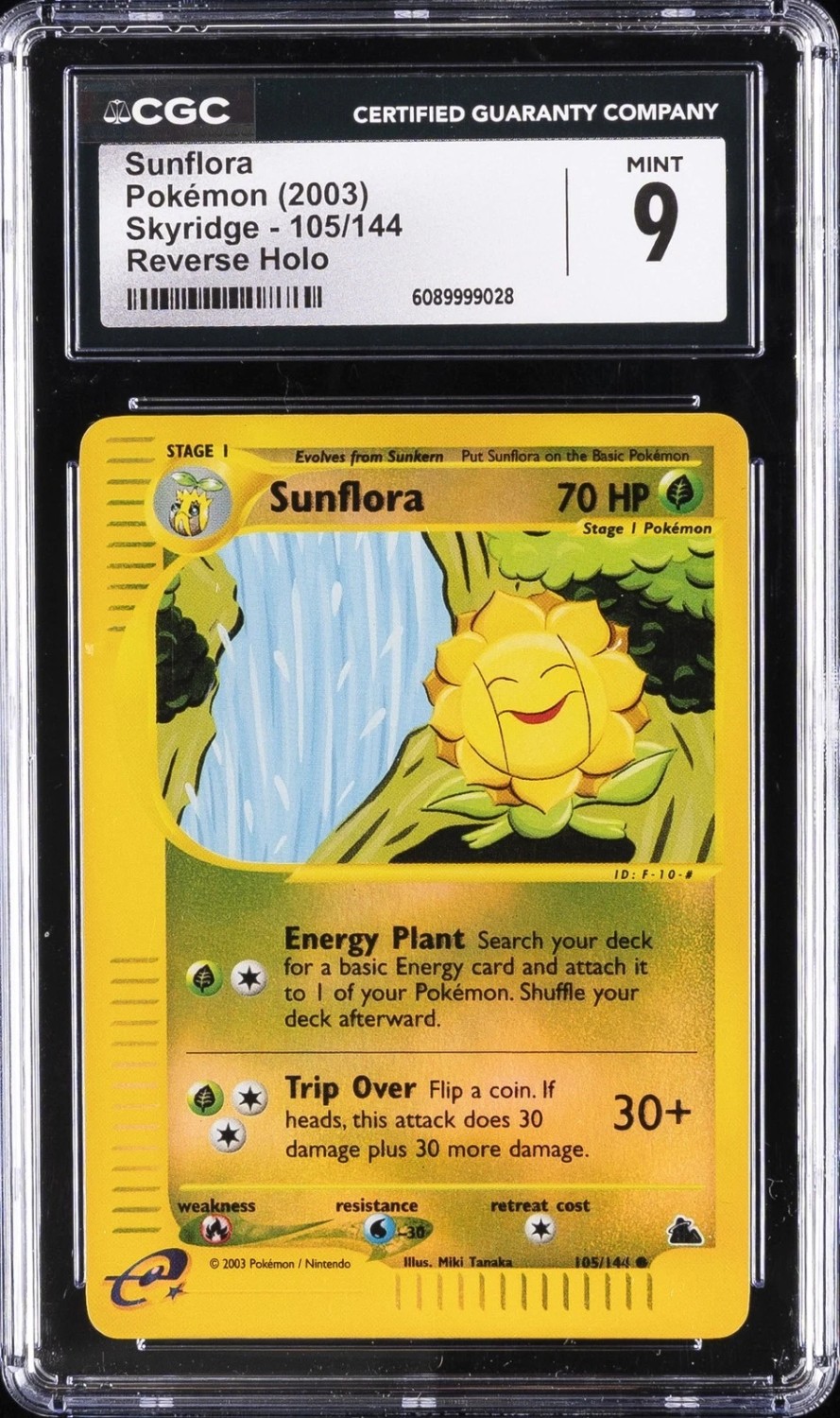 Sunflora