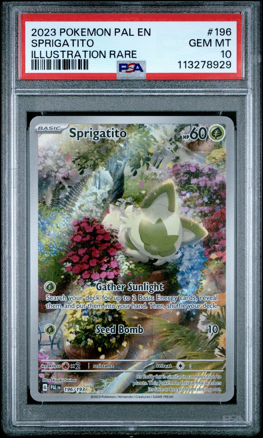 Sprigatito
