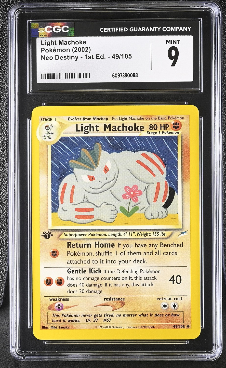 LIGHT MACHOKE