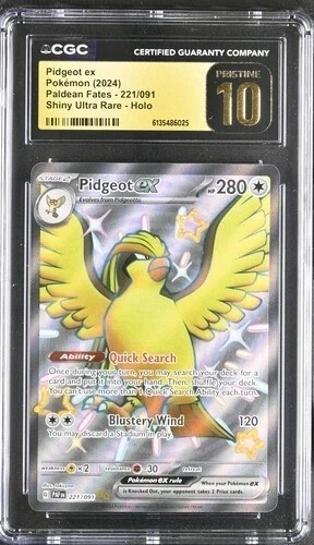 PIDGEOT ex