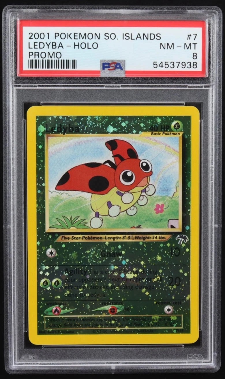 Ledyba