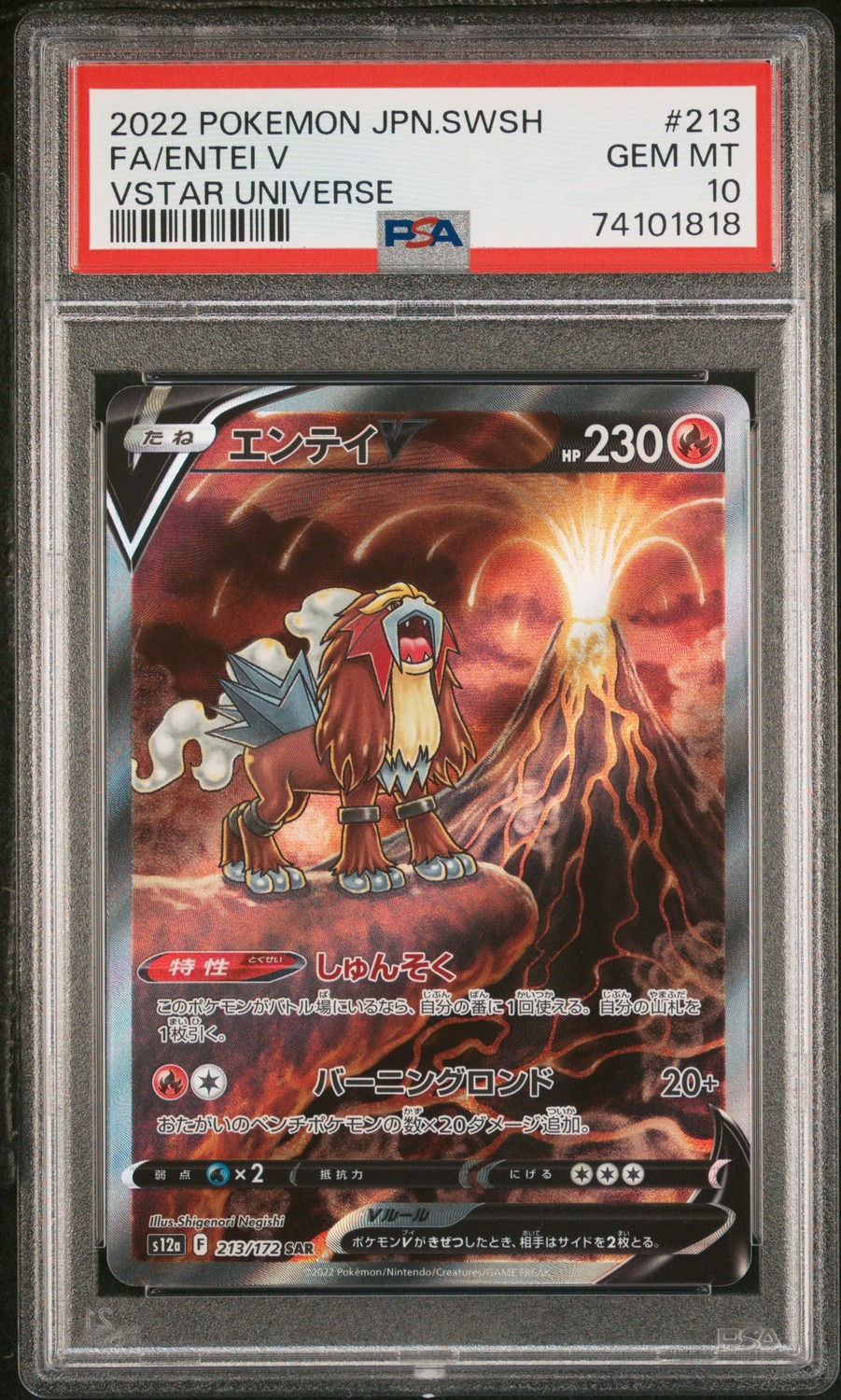 Entei V