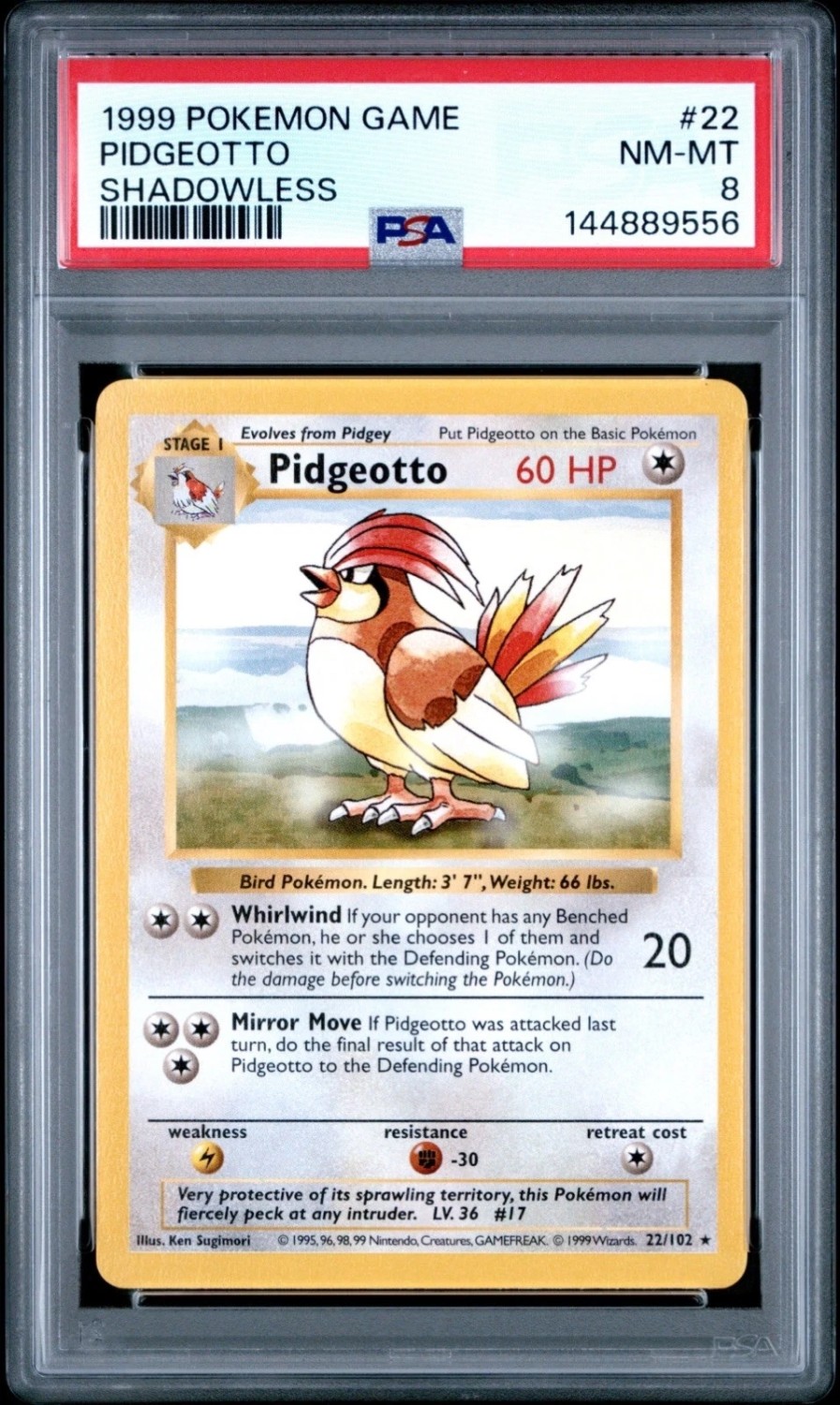 PIDGEOTTO