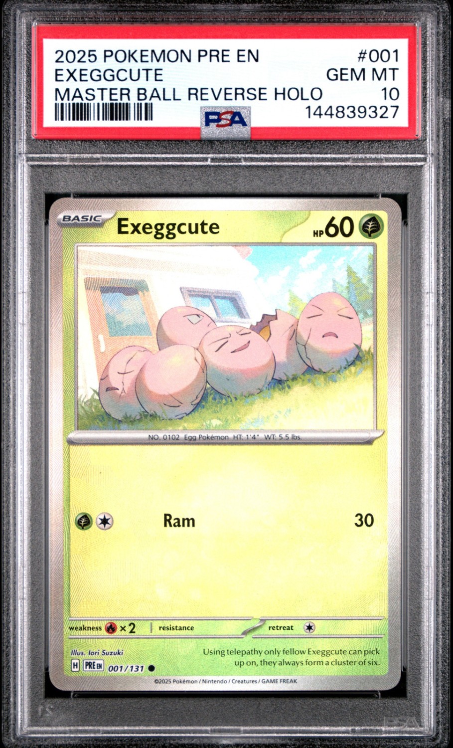 Exeggcute