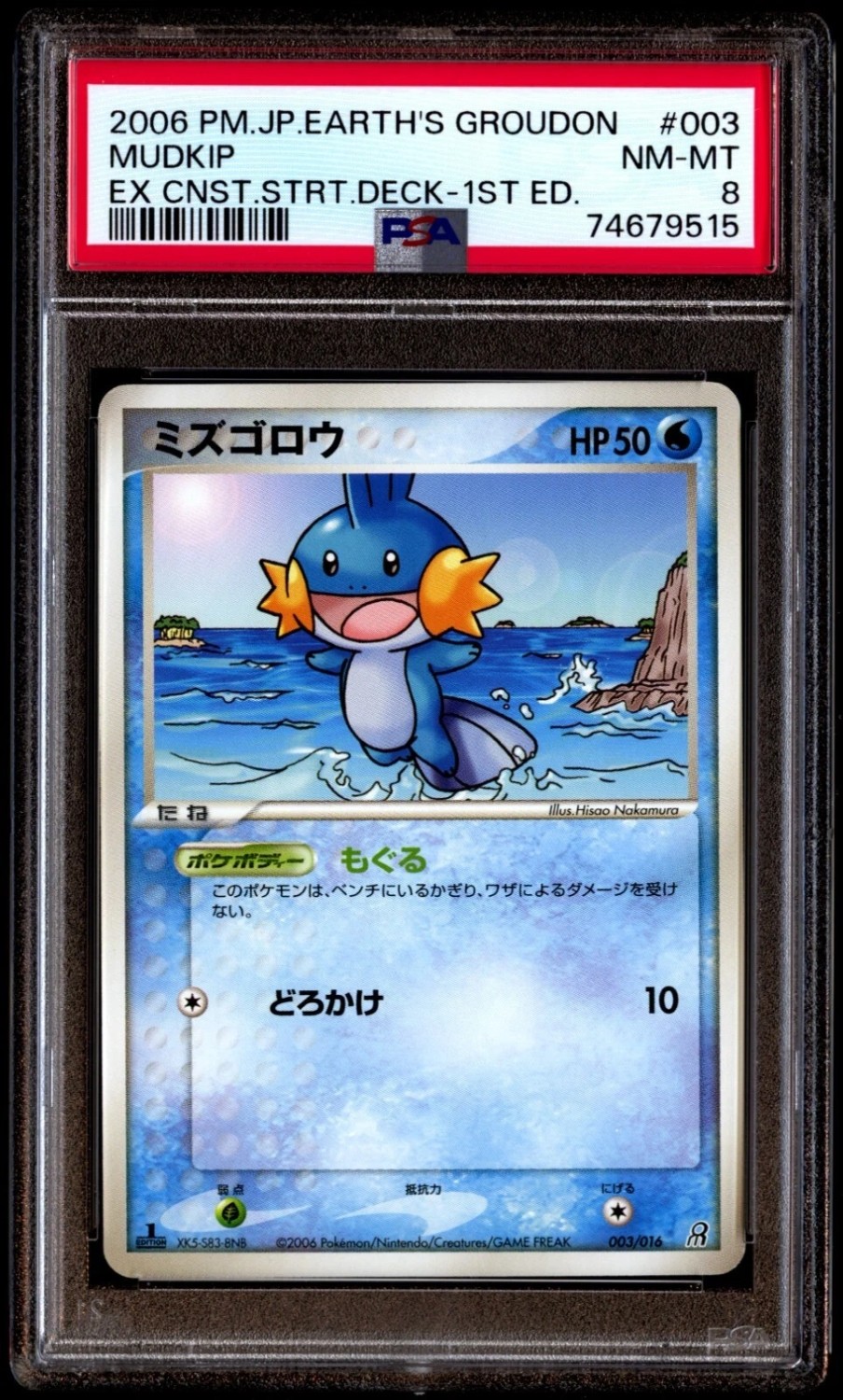 Mudkip