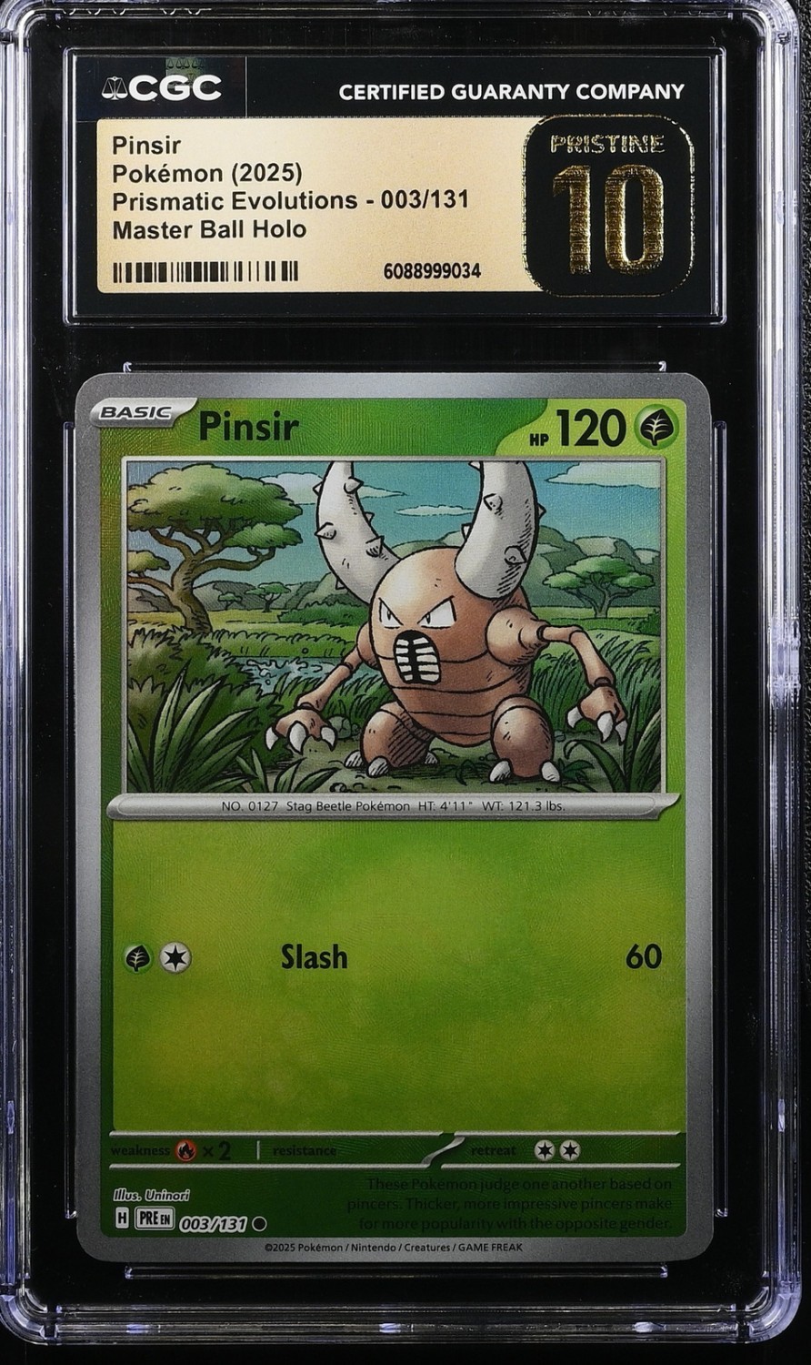 Pinsir
