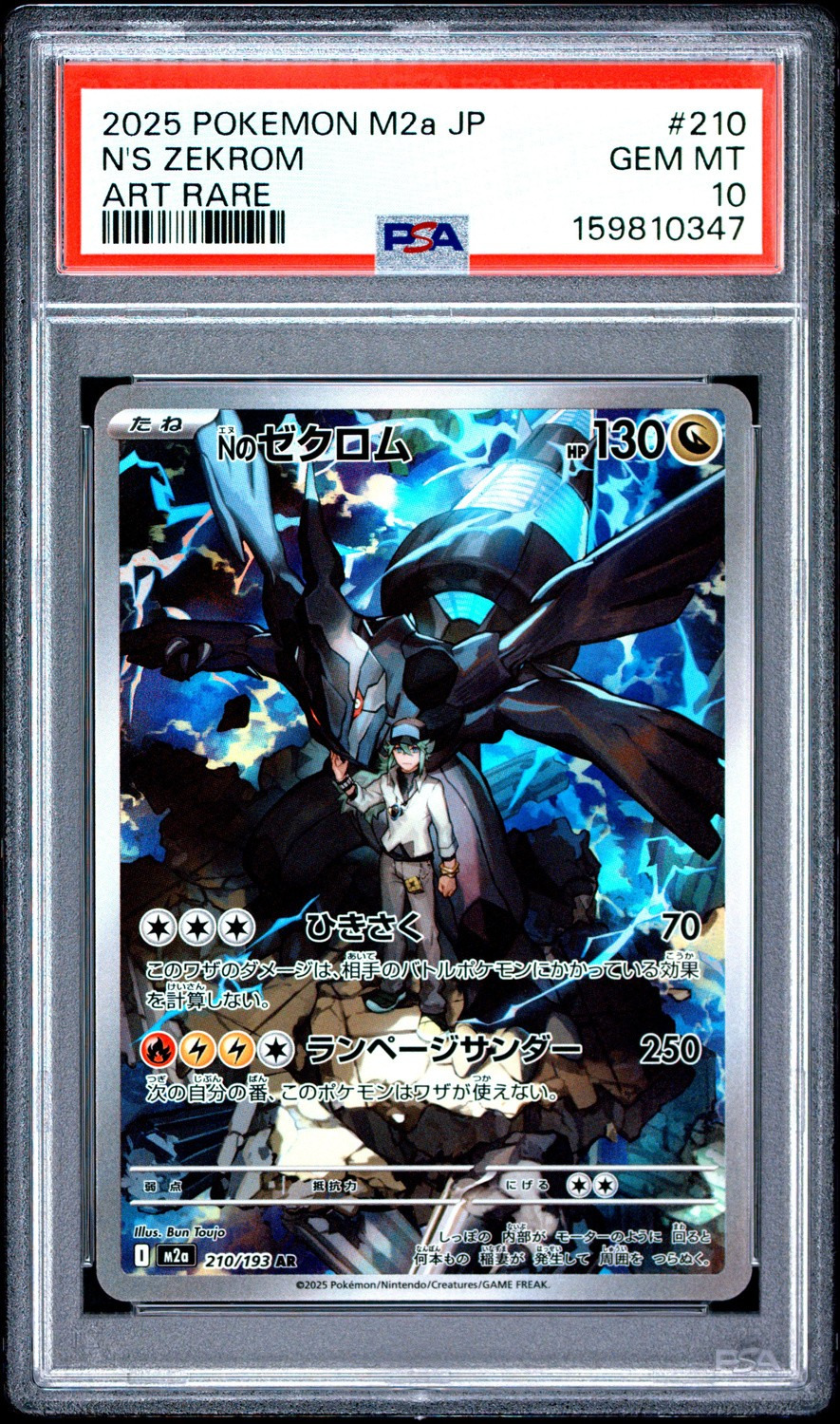 N's Zekrom