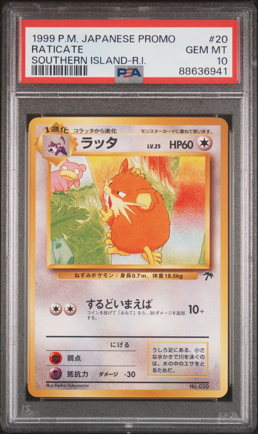 Raticate