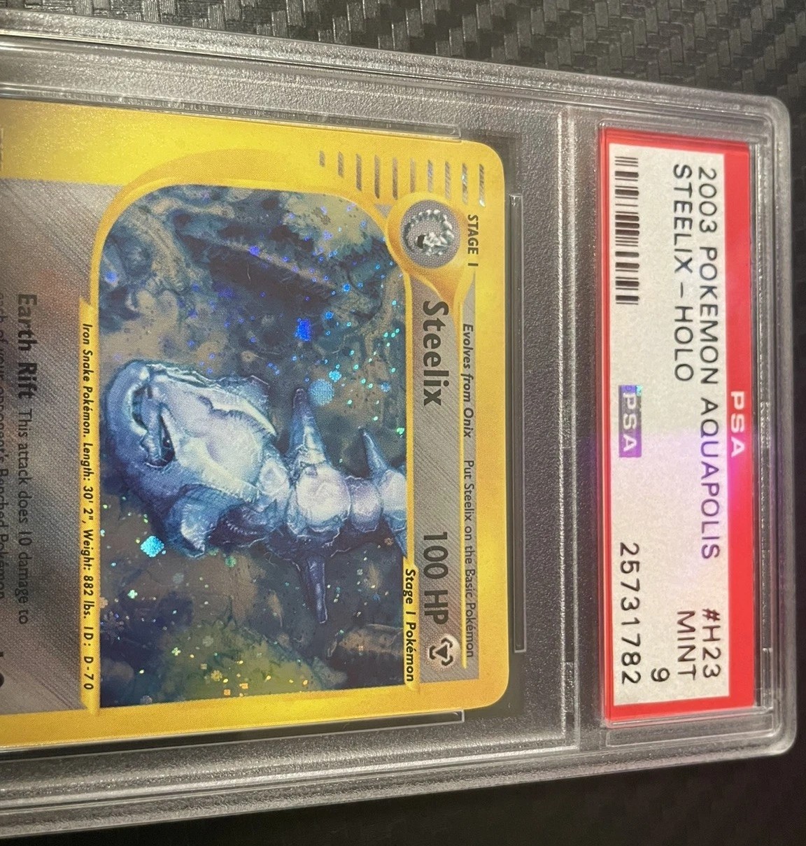 Steelix