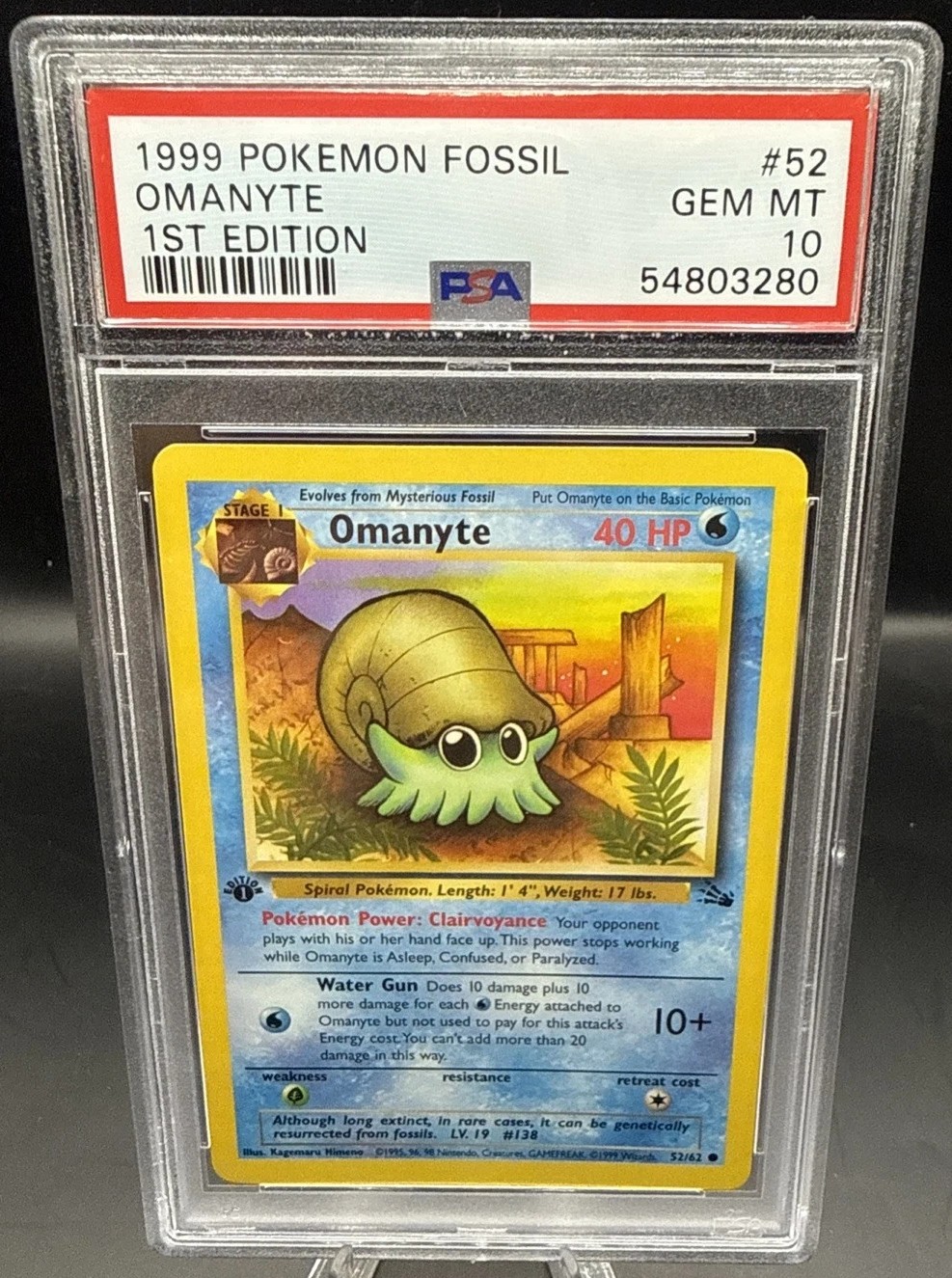 Omanyte