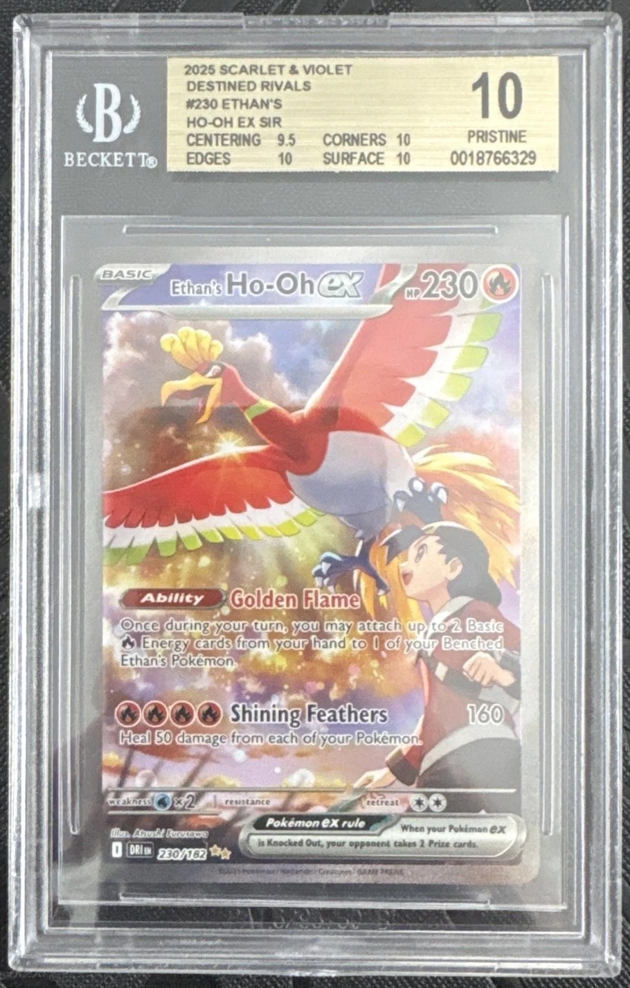 ETHAN'S HO-OH ex