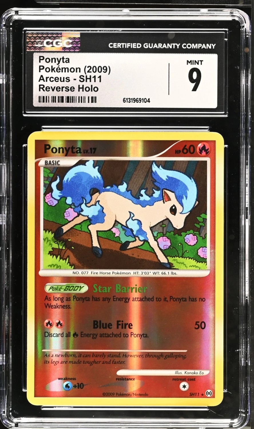 Ponyta