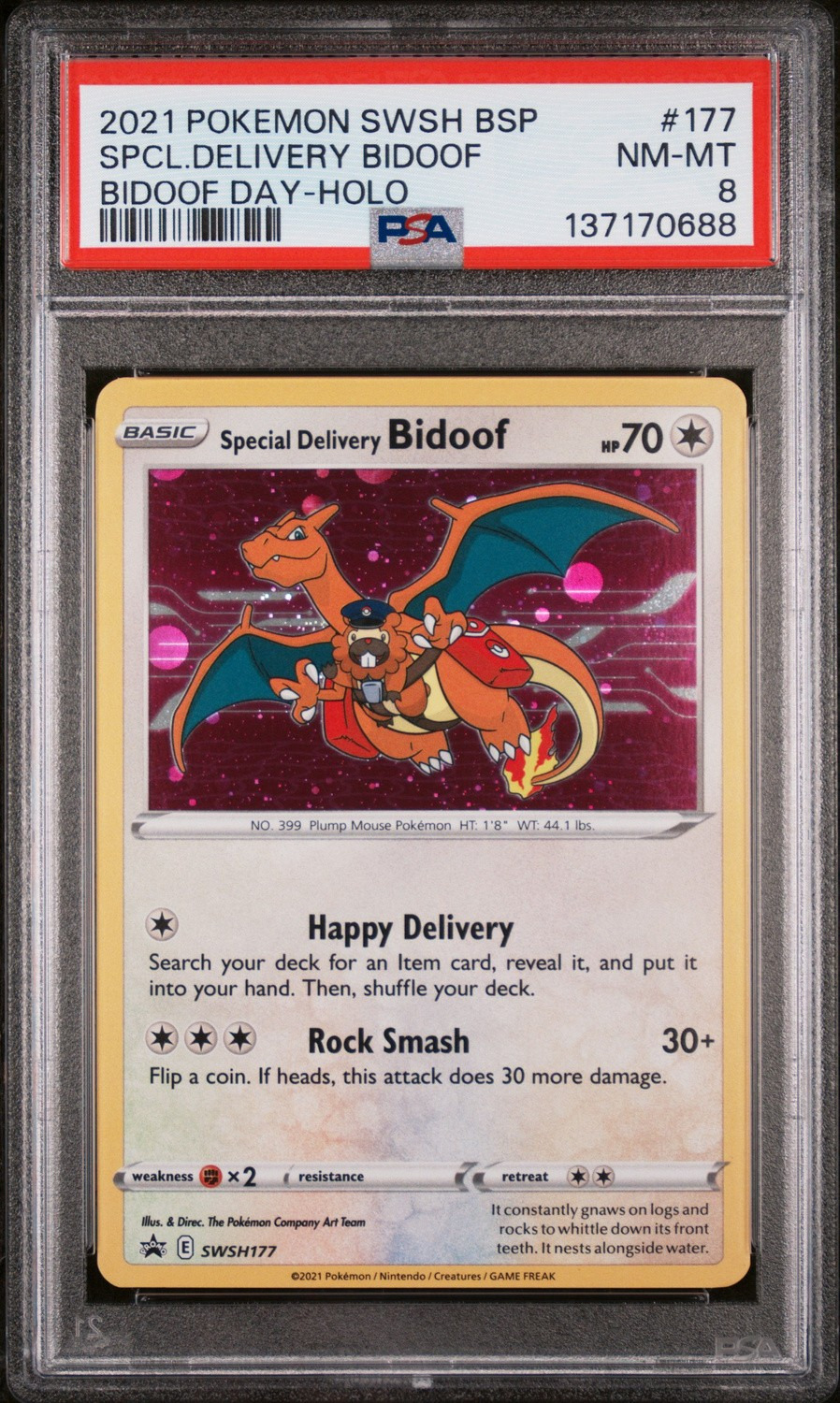 Special Delivery Bidoof